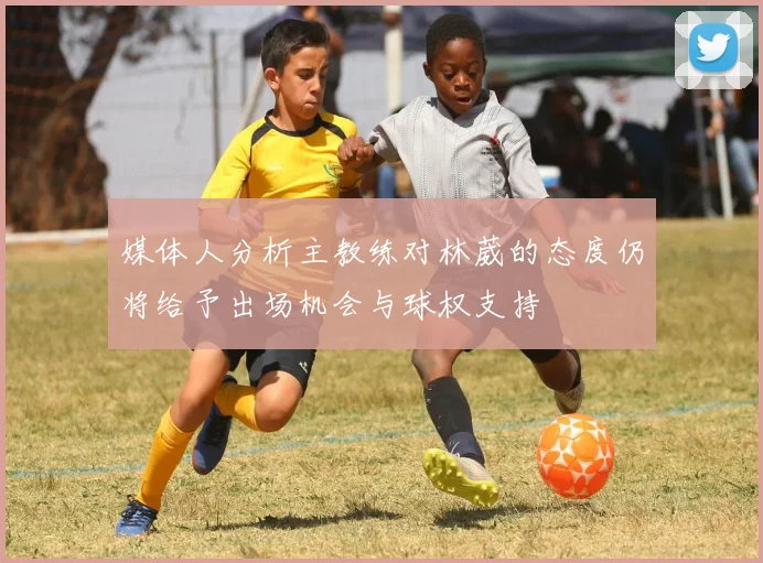 媒体人分析主教练对林葳的态度仍将给予出场机会与球权支持