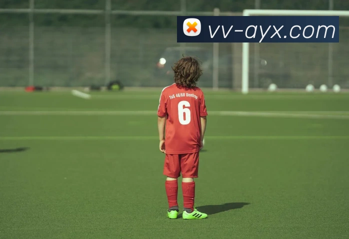 奖项证书